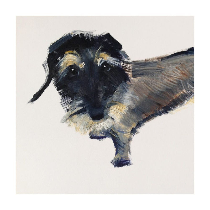 Daphne Dachshund by Sally Muir Blank Greeting Card with Envelope