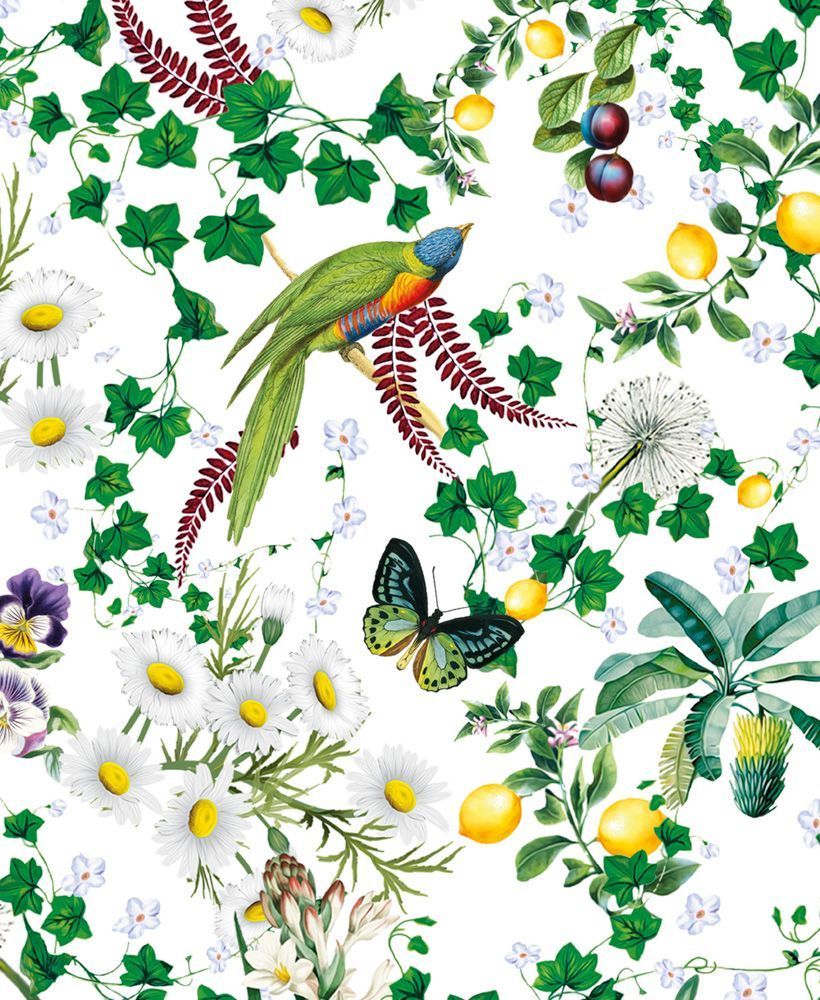 Mary Katrantzou Birds and Butterflies 8 Rectangle Notecards Wallet - Bee's Emporium