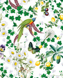 Mary Katrantzou Birds and Butterflies 8 Rectangle Notecards Wallet