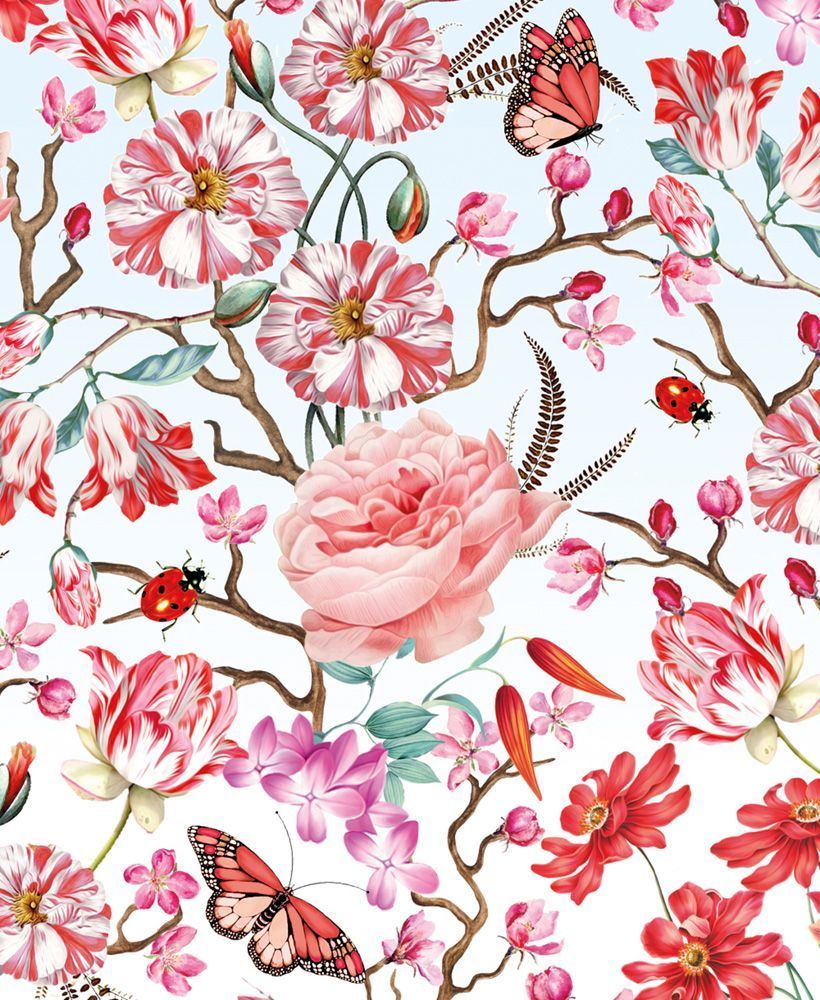 Mary Katrantzou Birds and Butterflies 8 Rectangle Notecards Wallet - Bee's Emporium