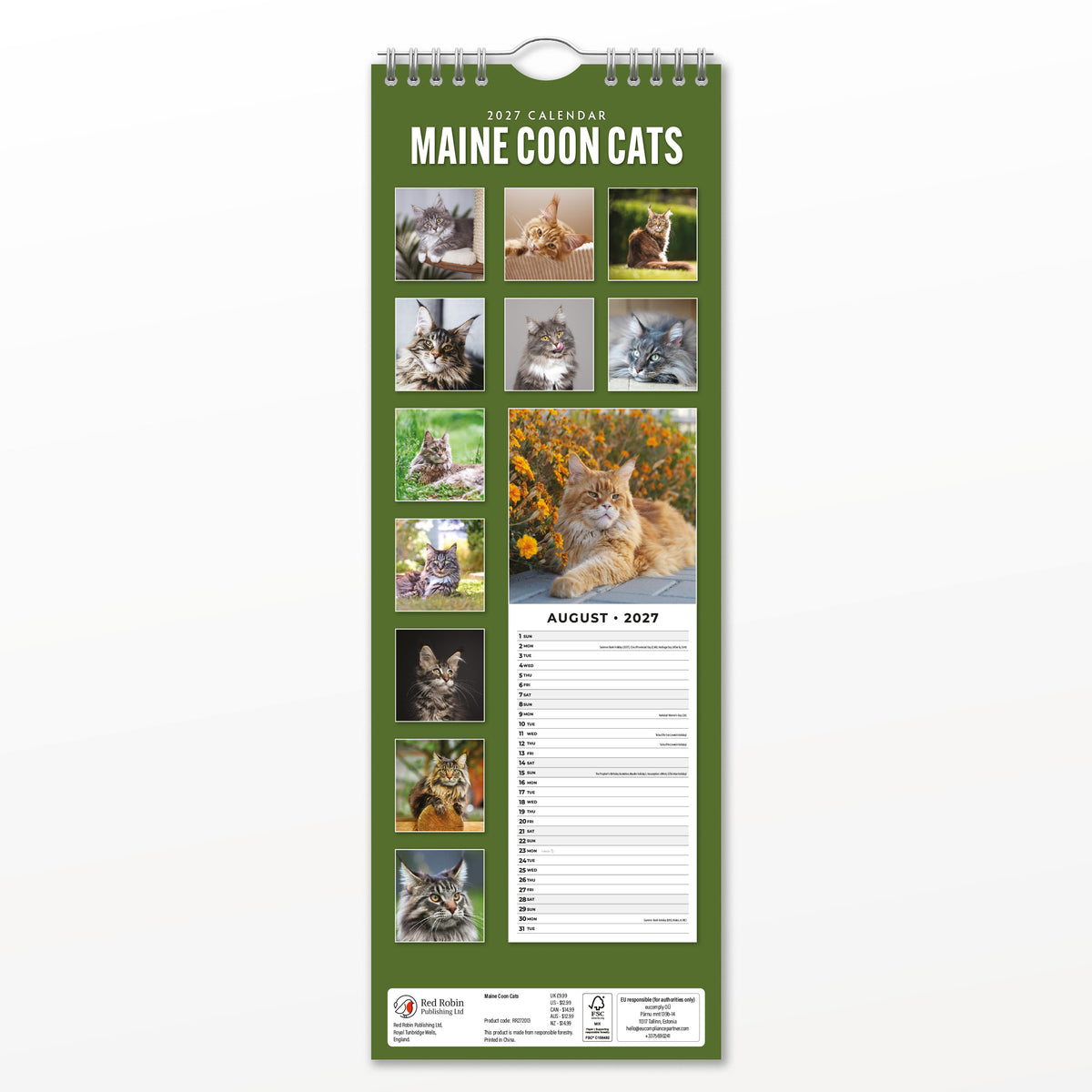 Maine Coon Cats 2027 Slim Wall Calendar