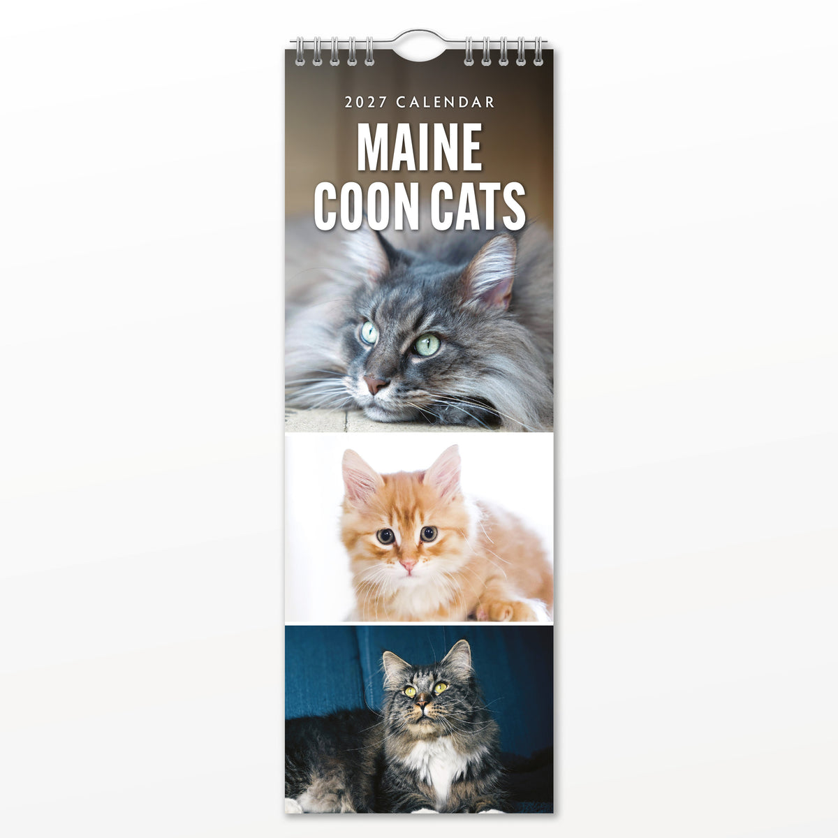 Maine Coon Cats 2027 Slim Wall Calendar
