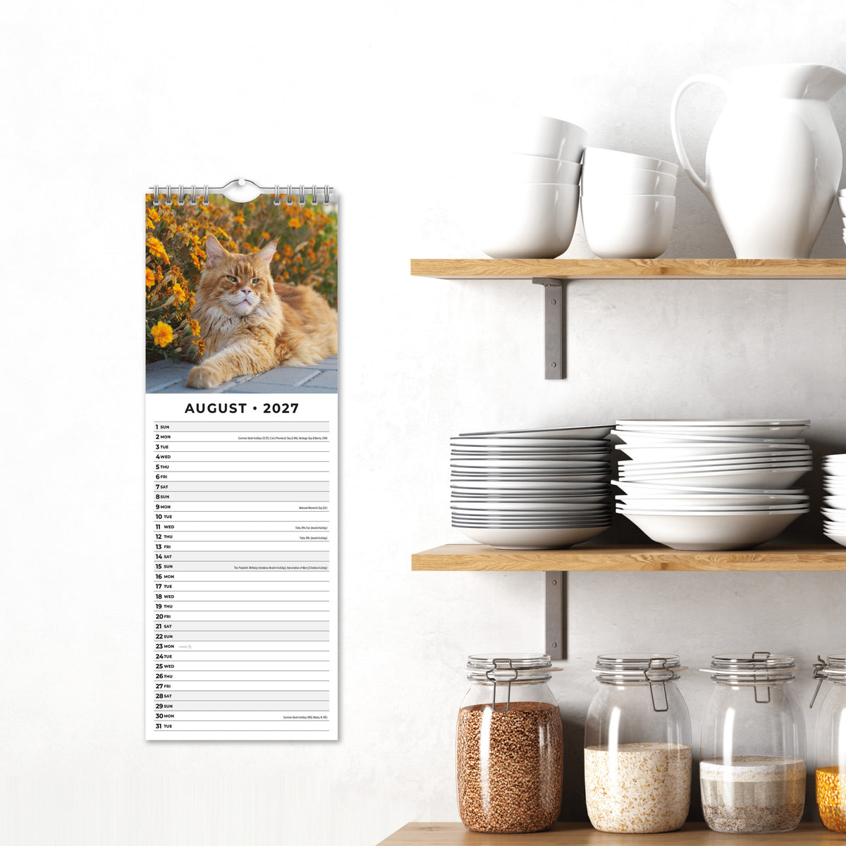 Maine Coon Cats 2027 Slim Wall Calendar