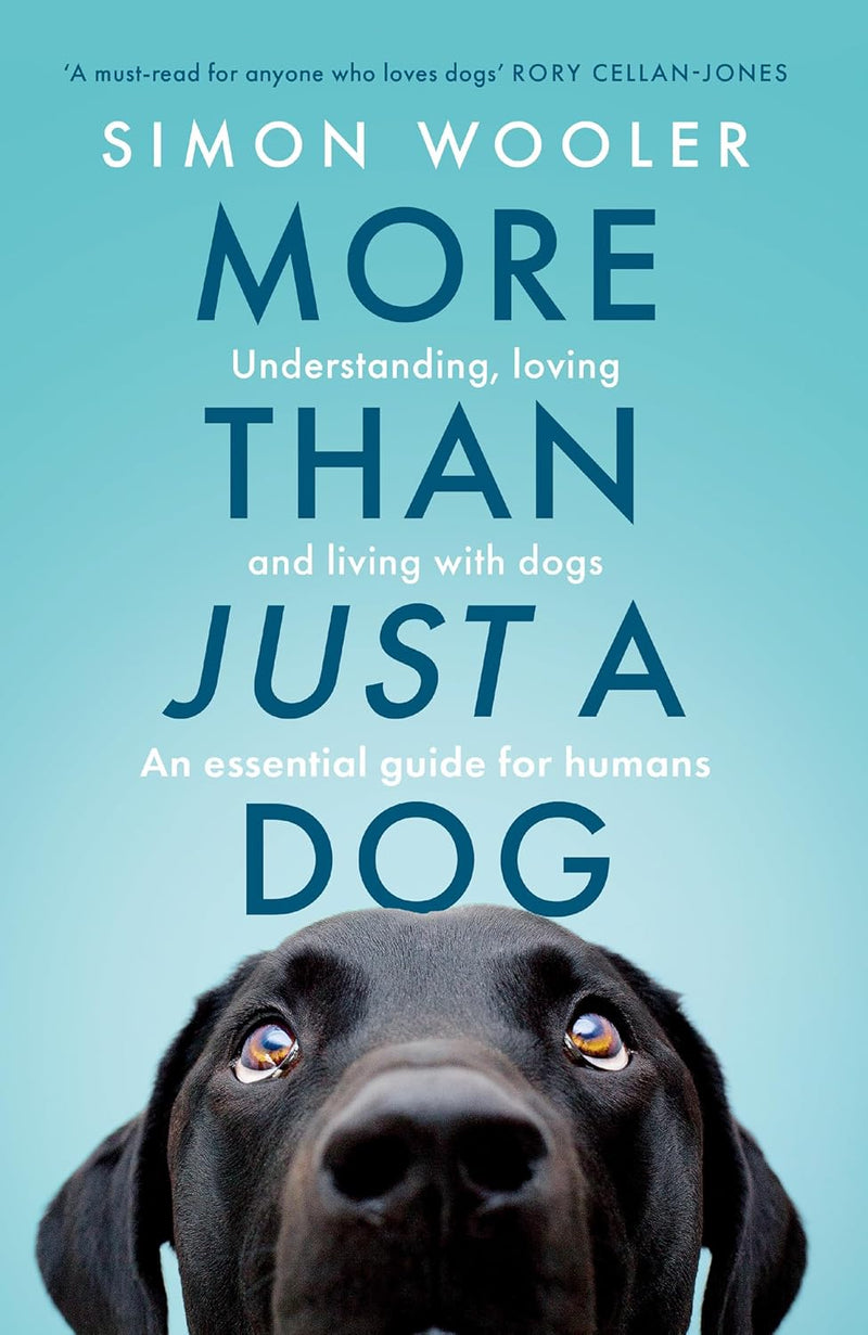 More Than Just a Dog: Understanding, loving and living with dogs (Paperback)