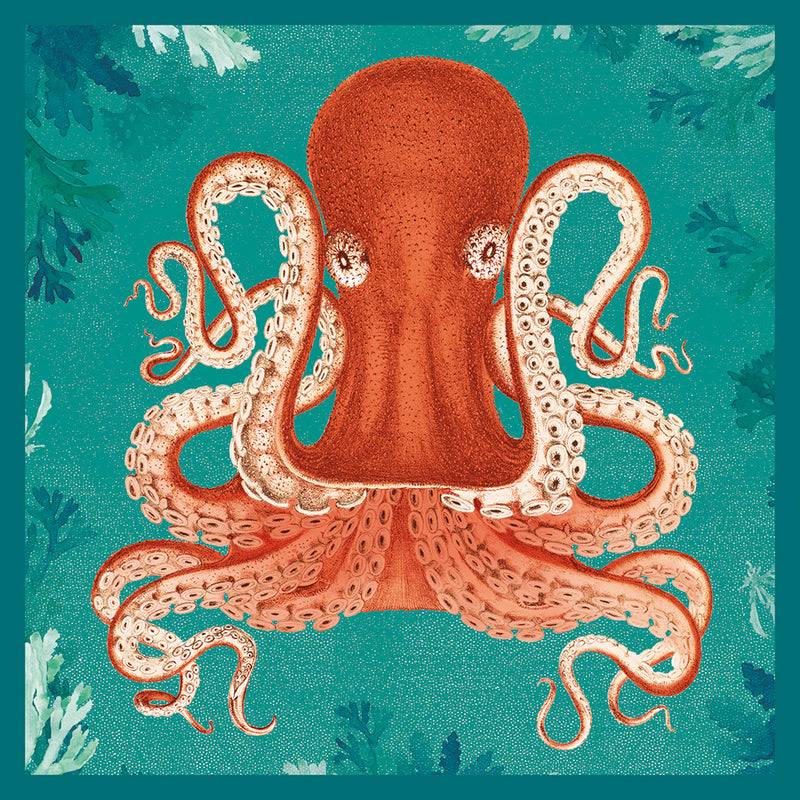 Natural History Museum Octopus Blank Greeting Card with Envelope
