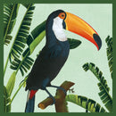 Natural History Museum Toco Toucan Blank Greeting Card with Envelope