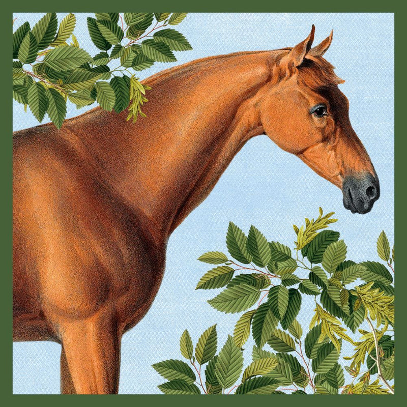 Natural History Museum - Irish Sport Horse Blank Greeting Card with Envelope