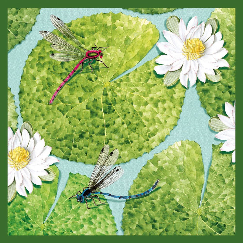Natural History Museum Dragonflies Blank Greeting Card with Envelope