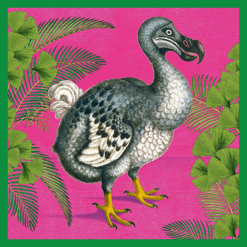 Natural History Museum Dodo Blank Greeting Card with Envelope