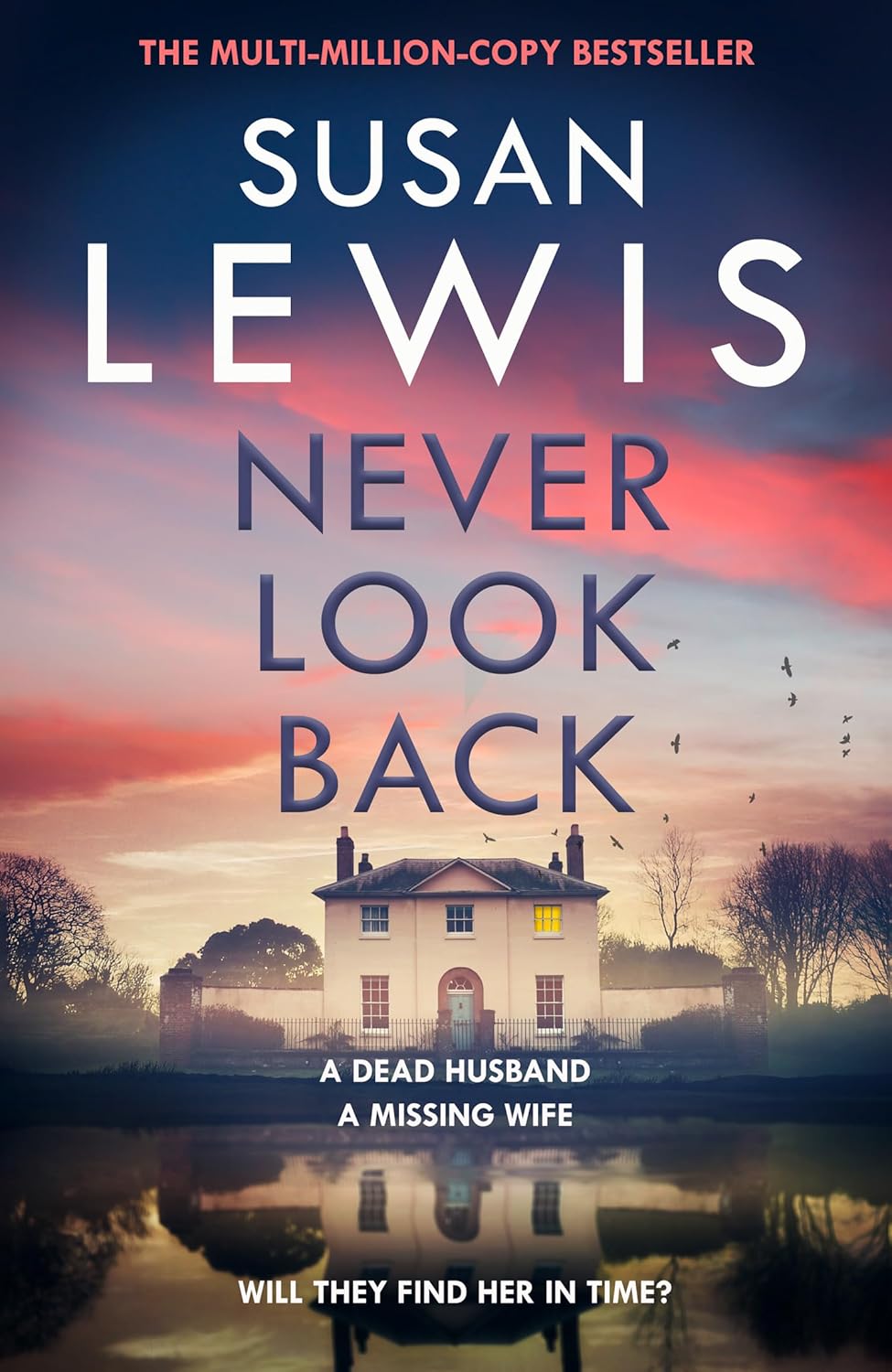 Never Look Back by Susan Lewis (Hardcover)