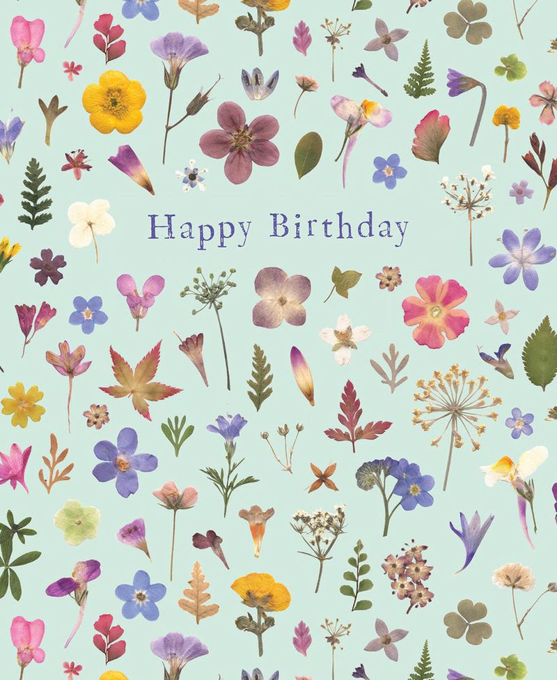Wild Press Mint Meadow Happy Birthday Greeting Card with Envelope