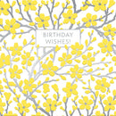 V&A Almond Blossom Birthday Wishes Greeting Card with Envelope