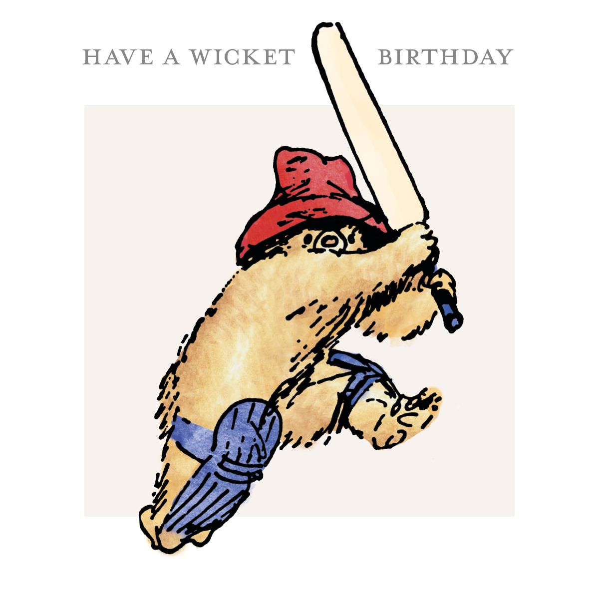 Paddington Bear Have a Wicket Birthday Card with Envelope