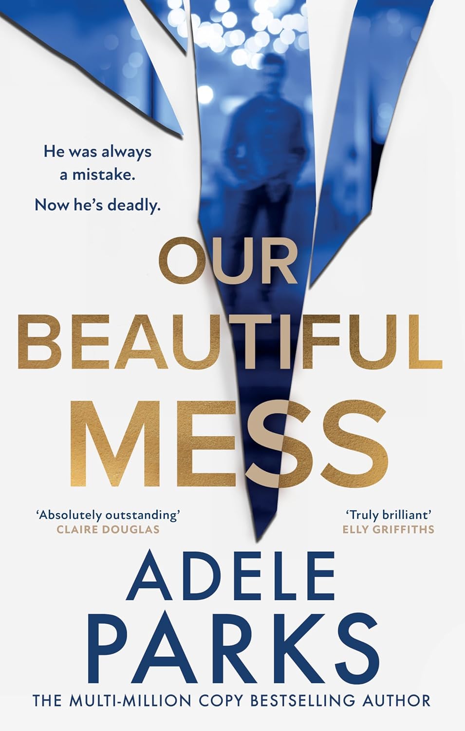 Our Beautiful Mess by Adele Parks (Hardcover)