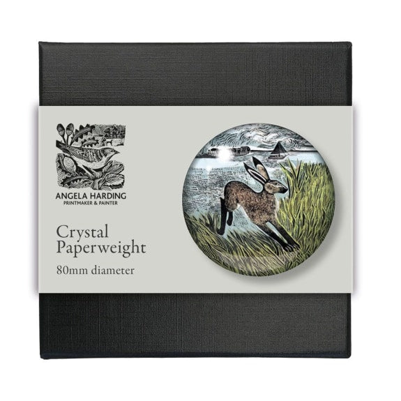 Angela Harding Young Hare Crystal Dome Paperweight - Bee's Emporium