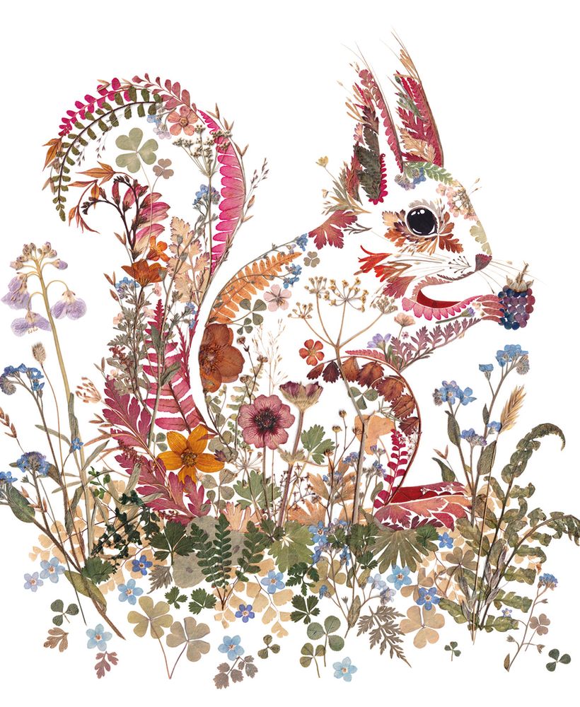 Wild Press - Wildwood Red Squirrel Blank Greeting Card with Envelope - Bee's Emporium