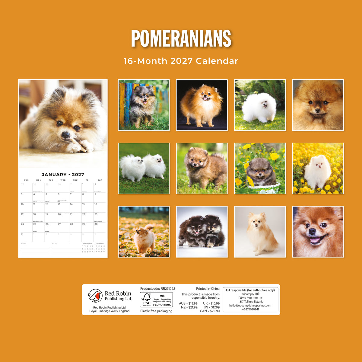 Pomeranians 2027 Square Wall Calendar
