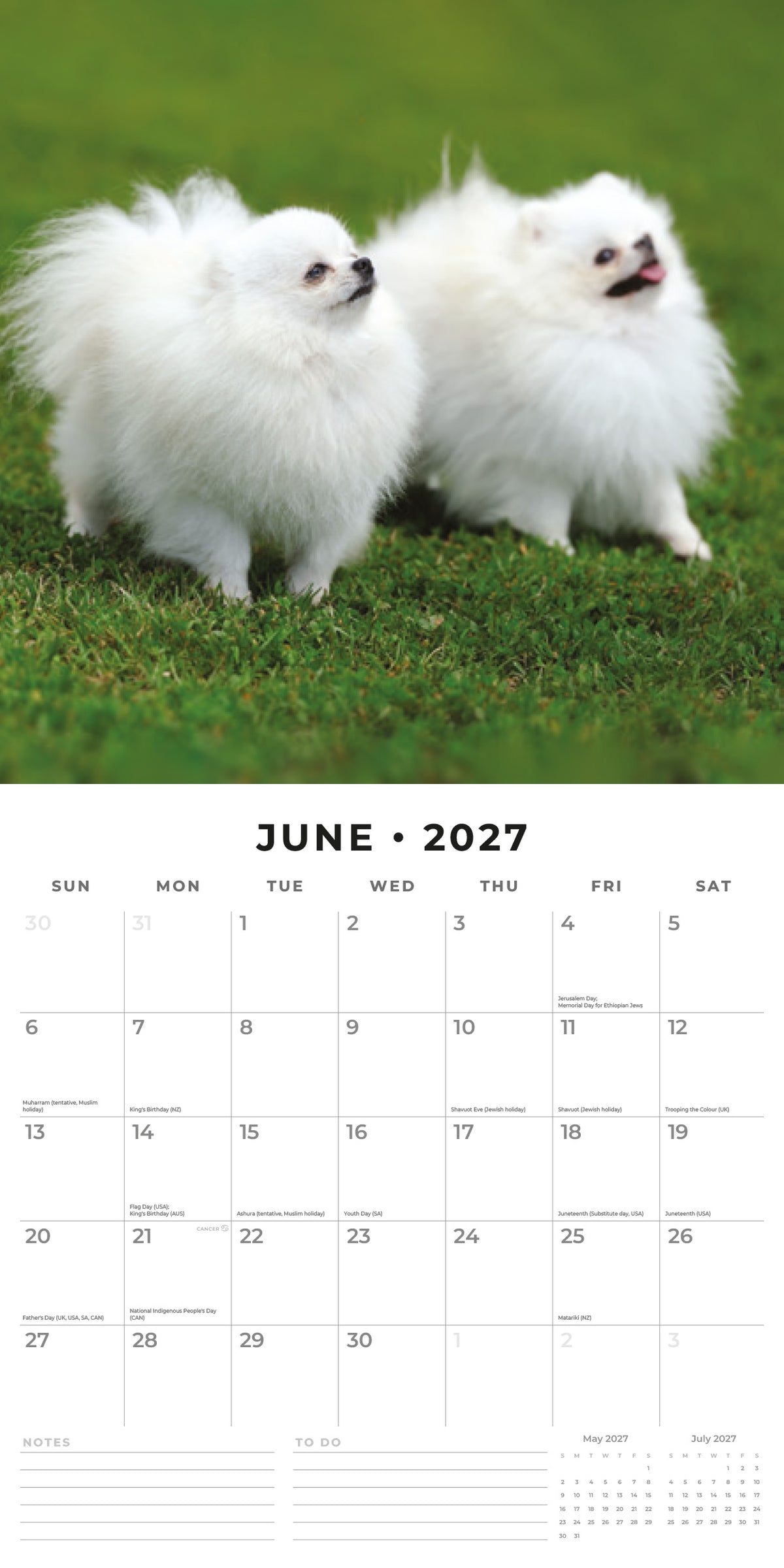 Pomeranians 2027 Square Wall Calendar