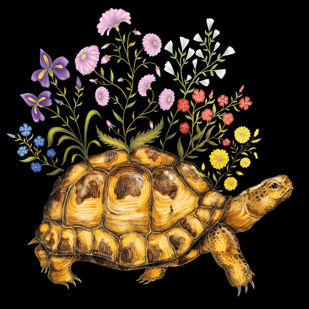Delivering Flowers Tortoise by Catherine Rowe Blank Greeting Card with Envelope - Bee's Emporium
