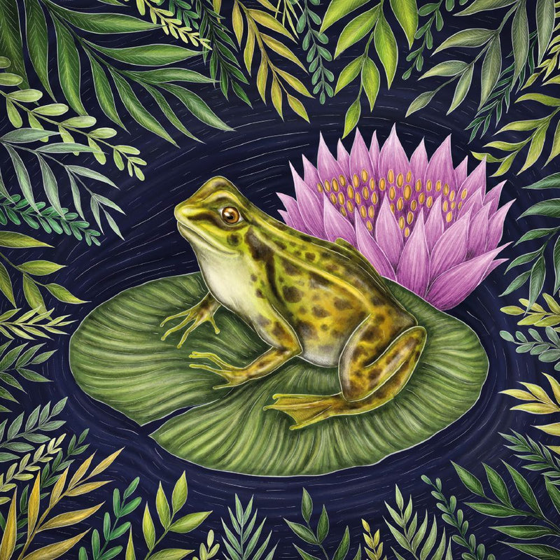 Under the Willow Tree Frog by Catherine Rowe Blank Greeting Card with Envelope