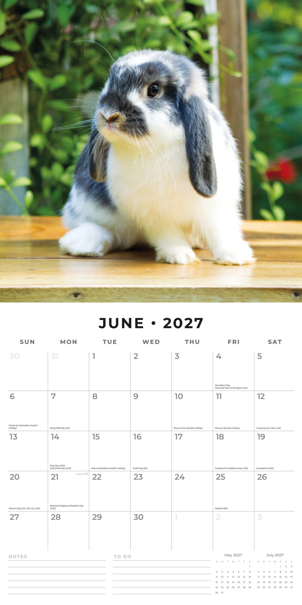 Rabbits 2027 Square Wall Calendar