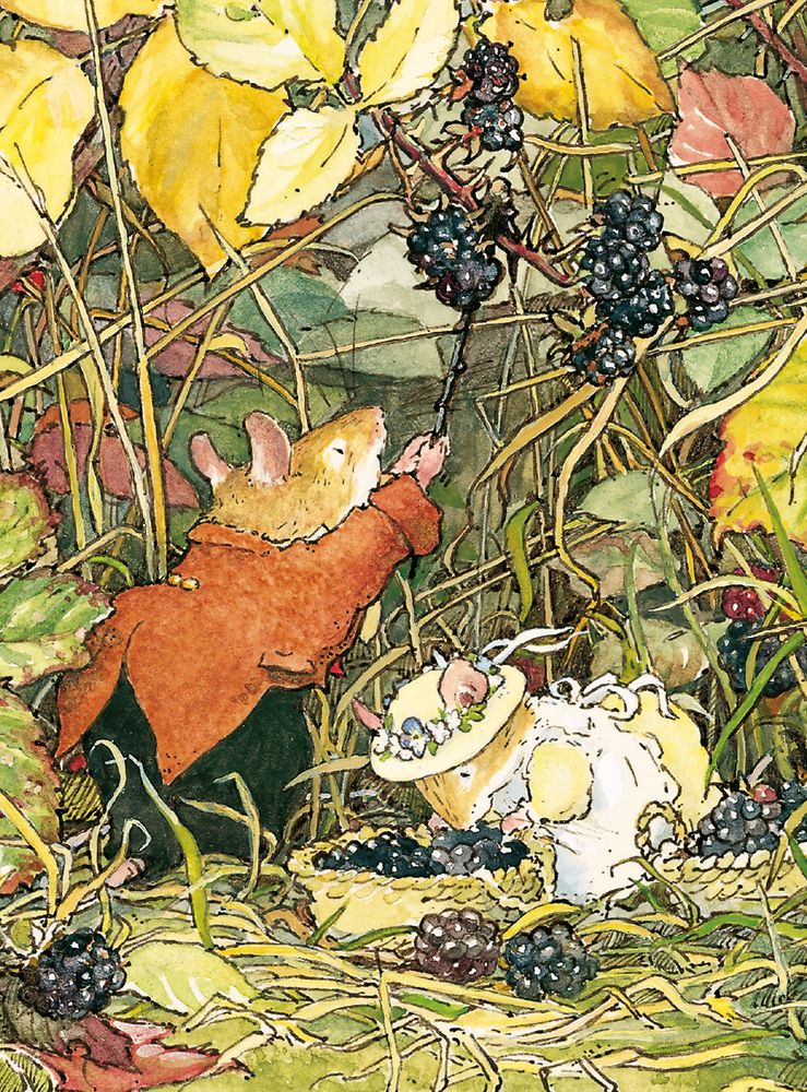 Brambly Hedge Blackberry Picking 8 Notecards & Envelopes - Bee's Emporium