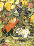 Brambly Hedge Blackberry Picking 8 Notecards & Envelopes
