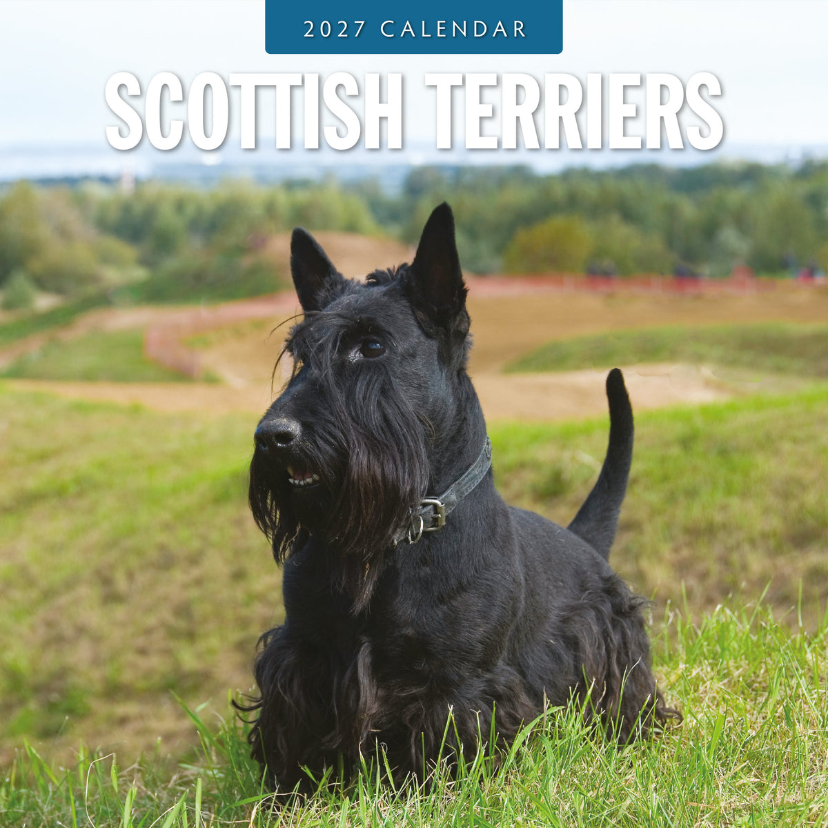 Scottish Terriers 2027 Square Wall Calendar