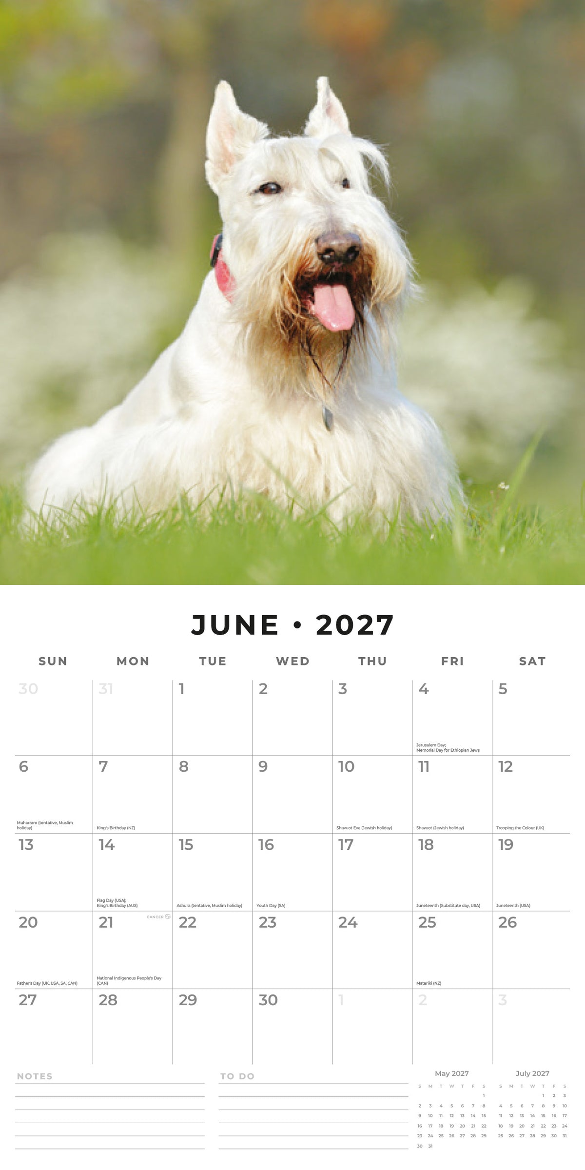 Scottish Terriers 2027 Square Wall Calendar