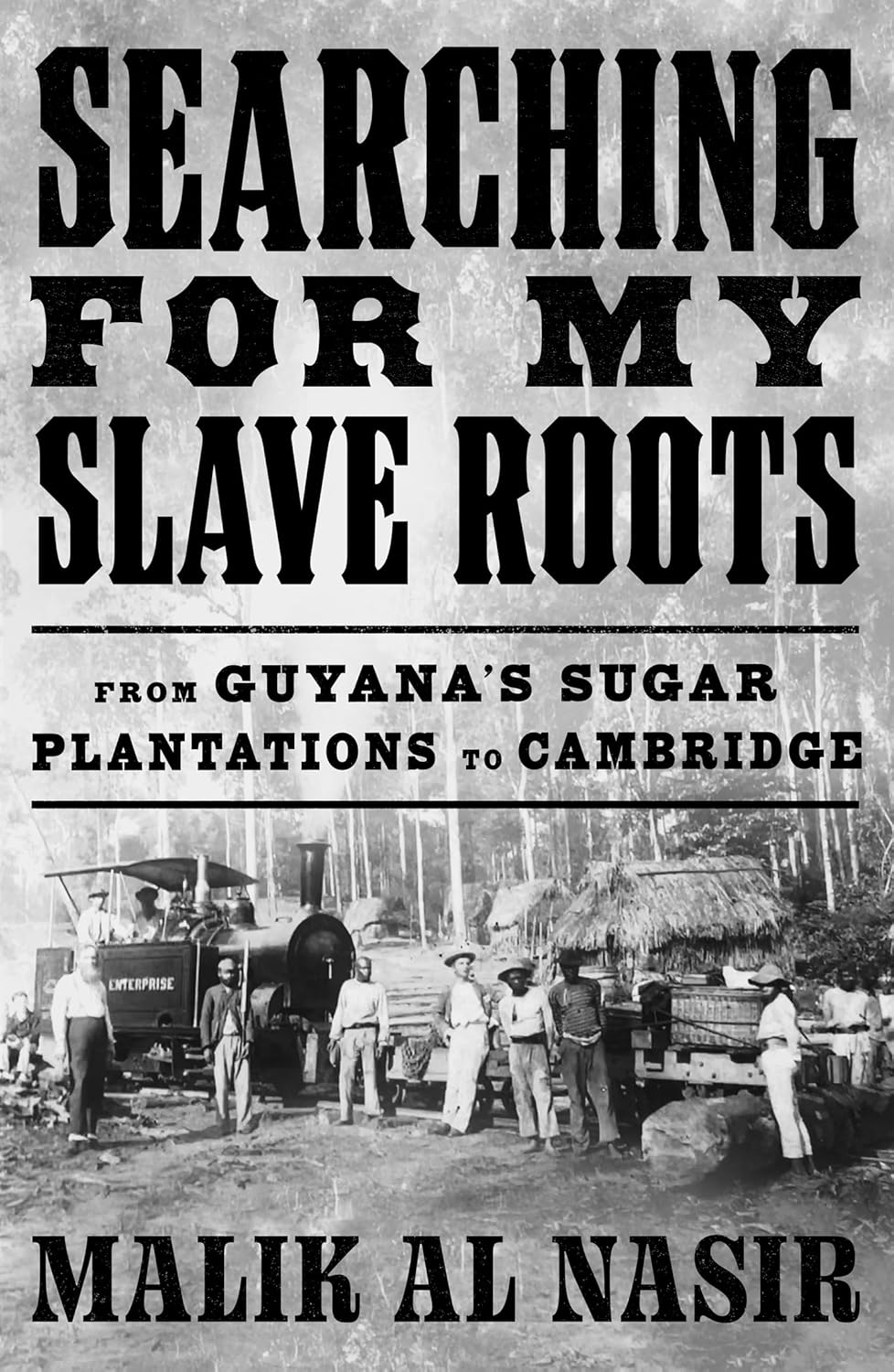 Searching for My Slave Roots by Malik Al Nasir (Hardcover)