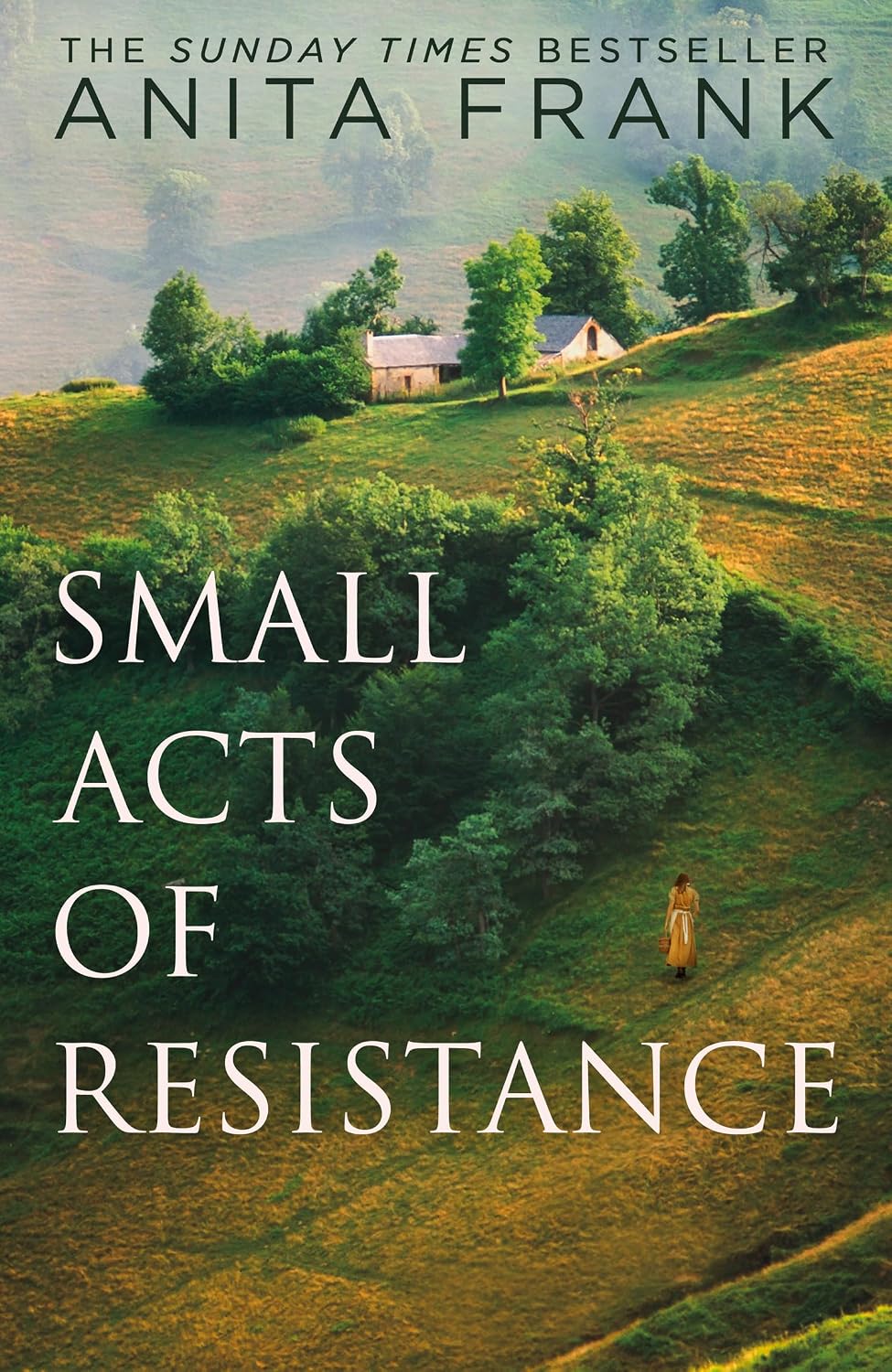 Small Acts of Resistance by Anita Frank (Hardcover)