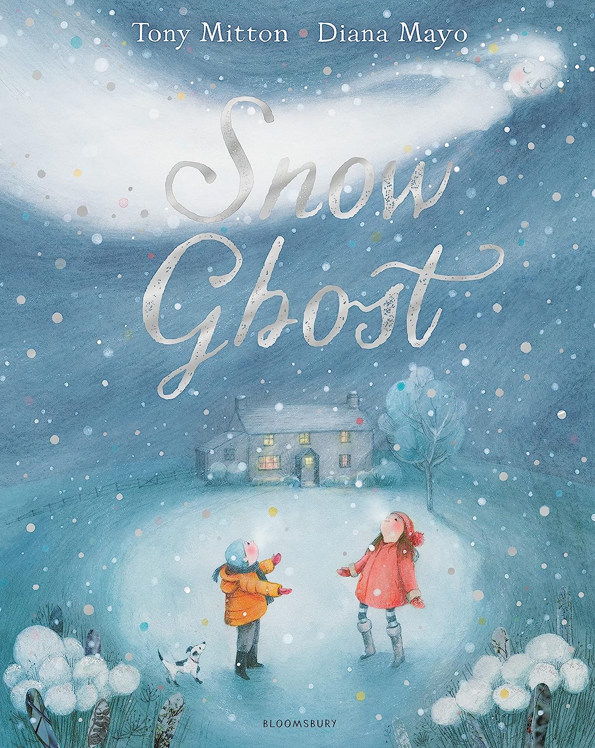 Snow Ghost by Tony Mitton (Hardcover) - Bee's Emporium