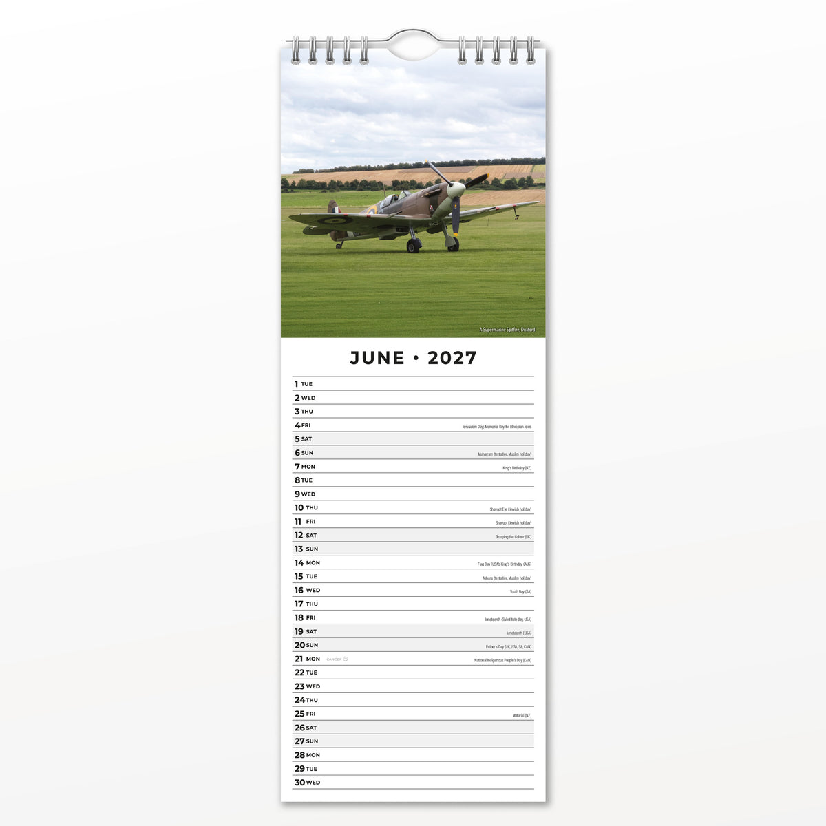 Spitfires 2027 Slim Wall Calendar
