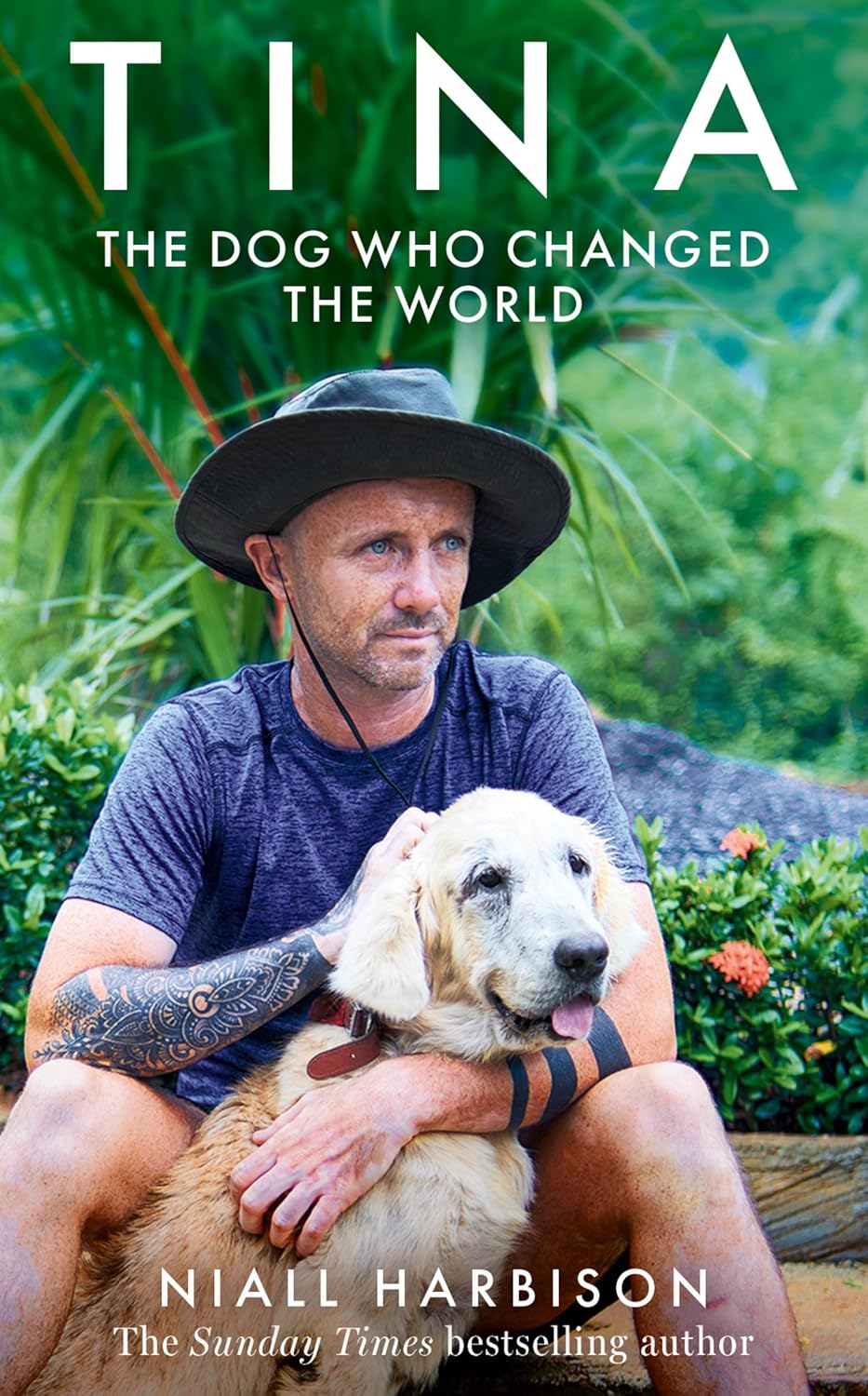 Tina: The Dog Who Changed the World by Niall Harbison (Hardcover)
