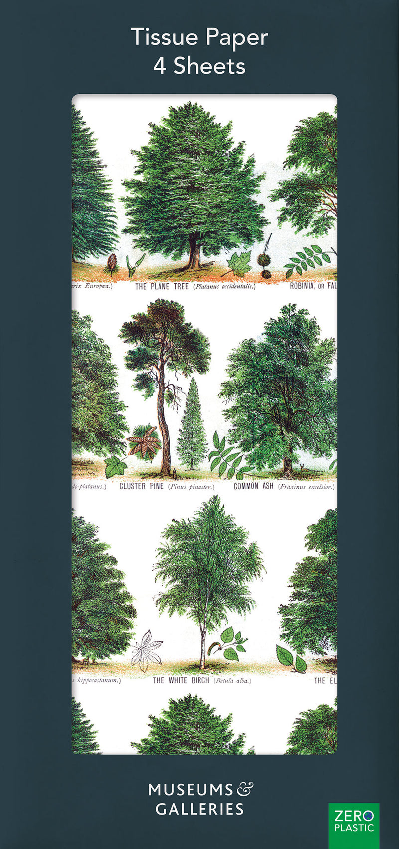 Our British Forest Trees Pack of 4 Sheets of Tissue Paper