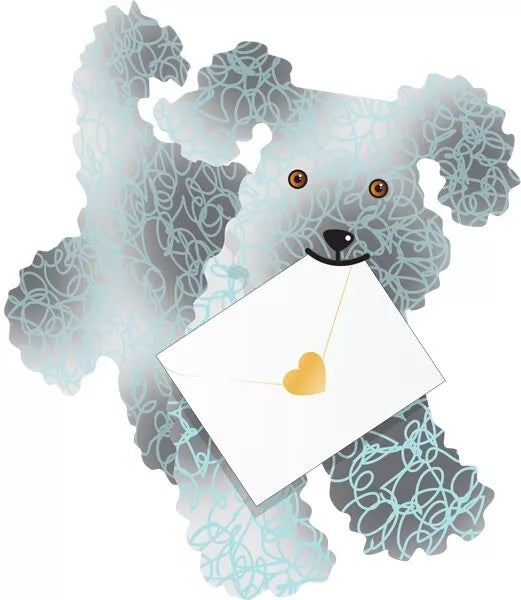 Teddy Poodle Dog 3D Greeting Card with Envelope