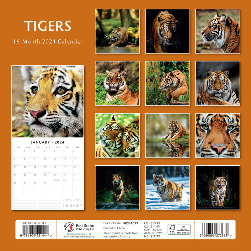 Tigers 2024 Square Wall Calendar