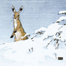 V&A Hare in Snow Pack of 8 Christmas Cards