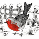 V&A Robin Redbreast Pack of 8 Christmas Cards