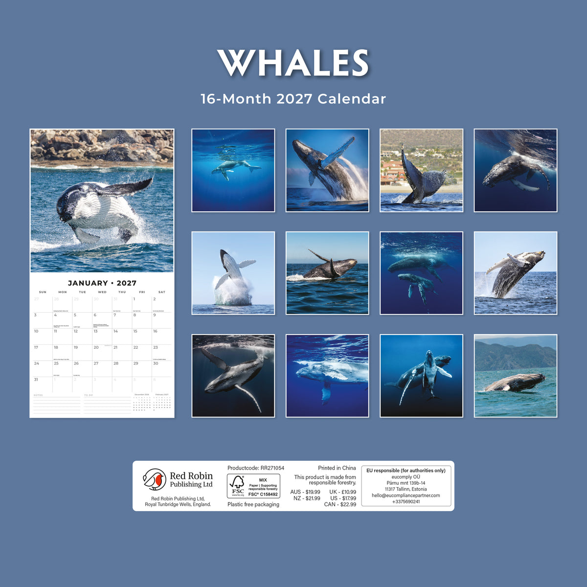 Whales 2027 Square Wall Calendar