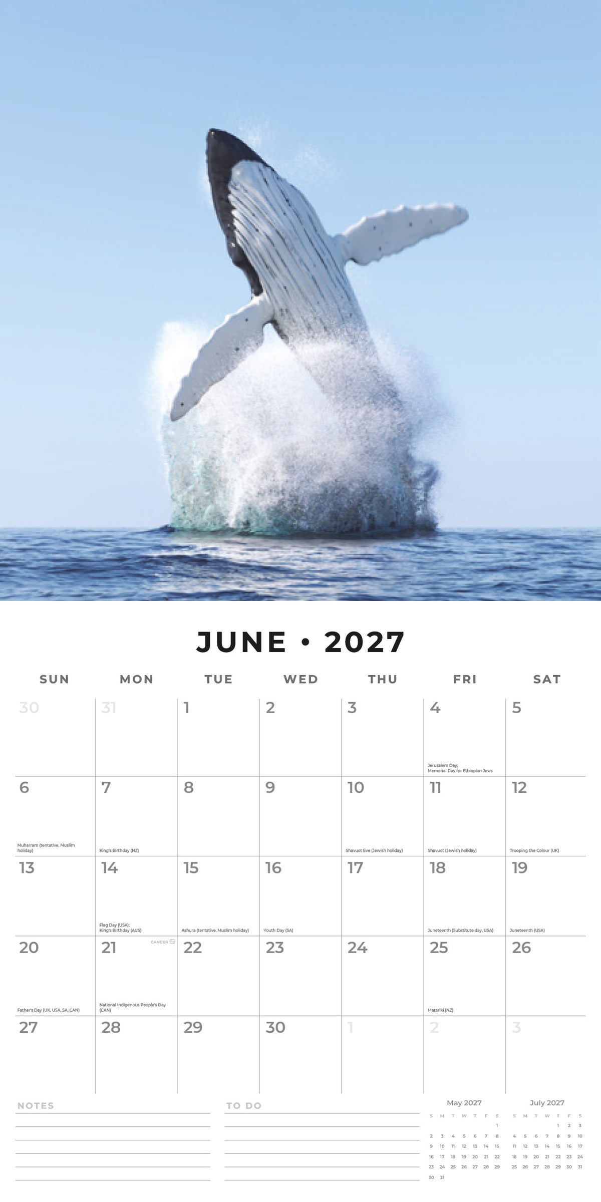 Whales 2027 Square Wall Calendar
