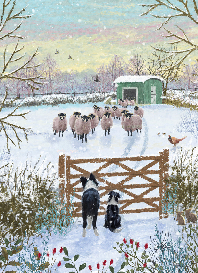 Christmas on the Farm by Pip Wilson Box of 16 Charity Christmas Cards