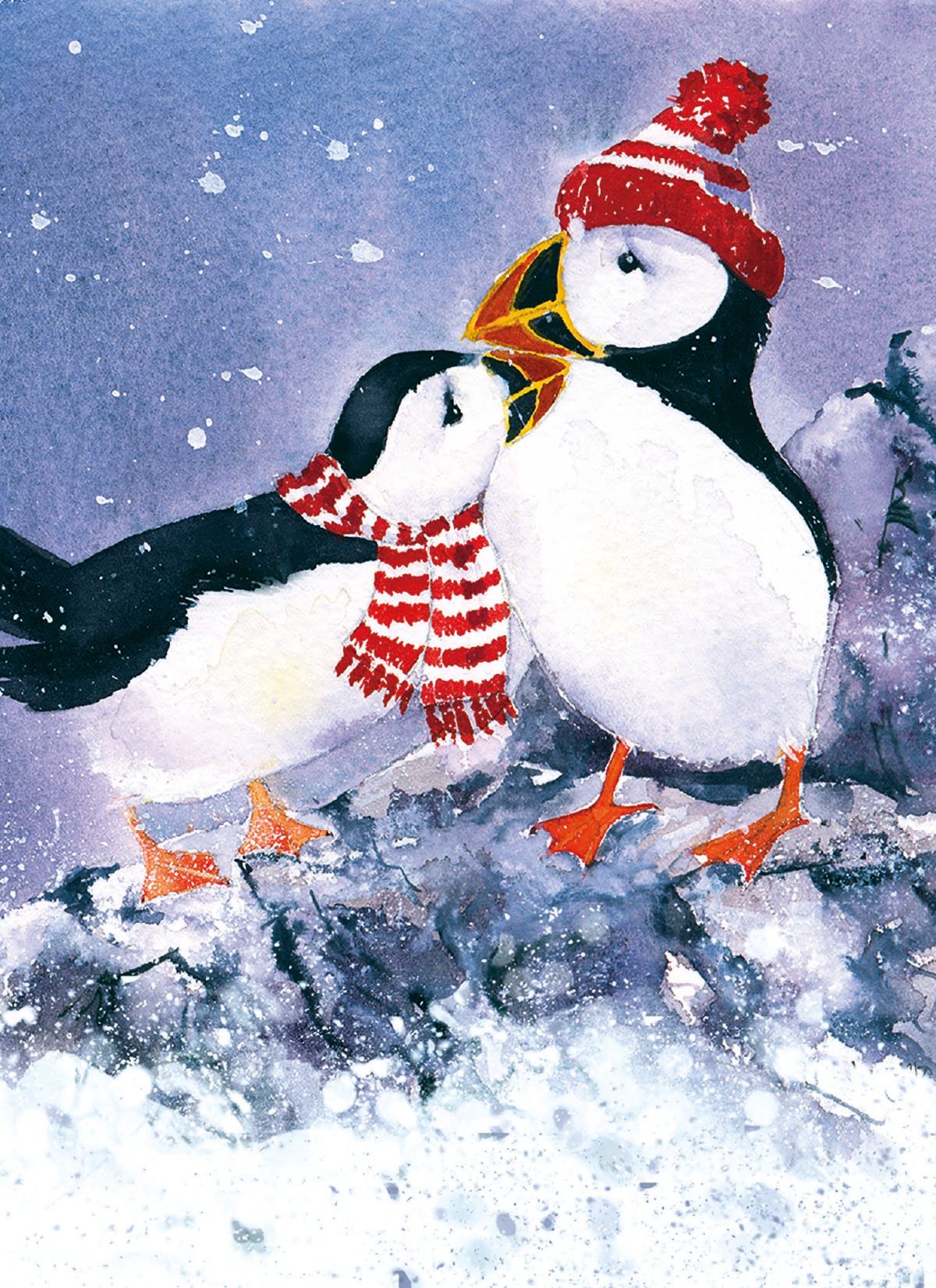 Snowy Puffins by Rachel McNoughton Pack of 8 Charity Christmas Cards
