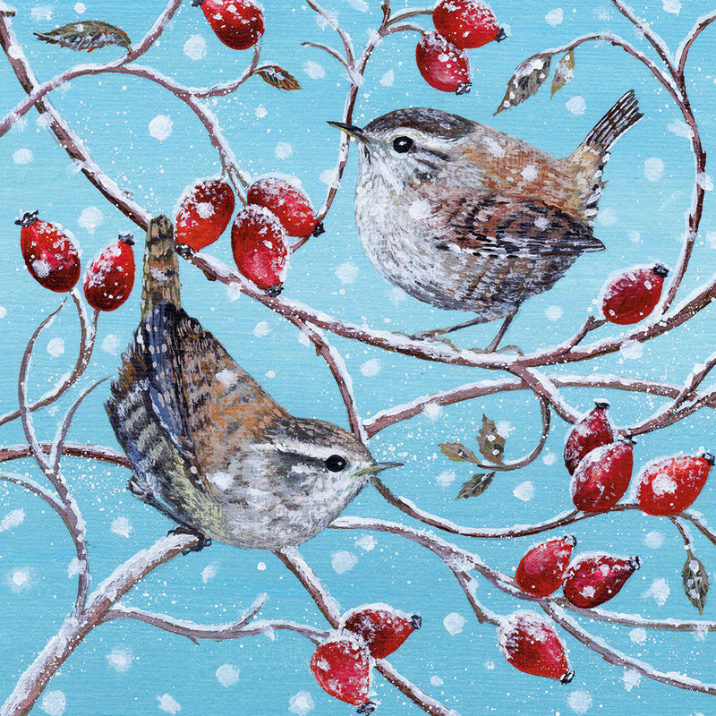 Wrens and Rosehips by Lucy Grossmith Pack of 8 Charity Christmas Cards