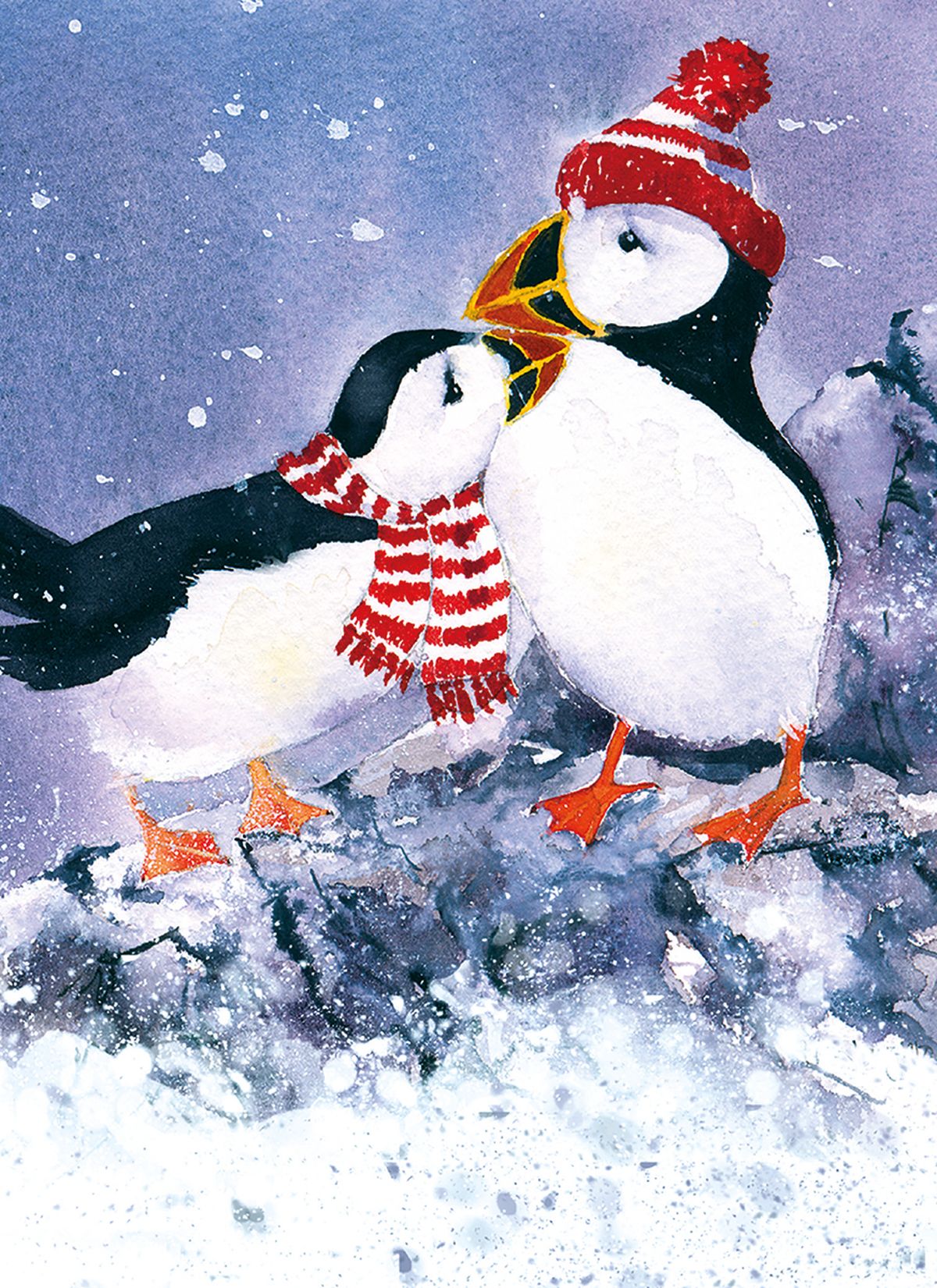 Winter Woolies by Rachel McNaughton Box of 16 Charity Christmas Cards