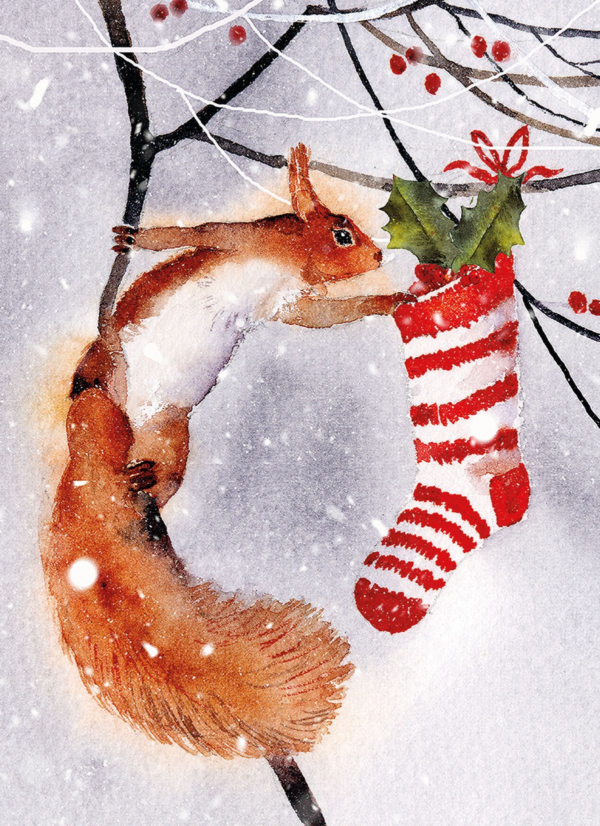 Winter Woolies by Rachel McNaughton Box of 16 Charity Christmas Cards