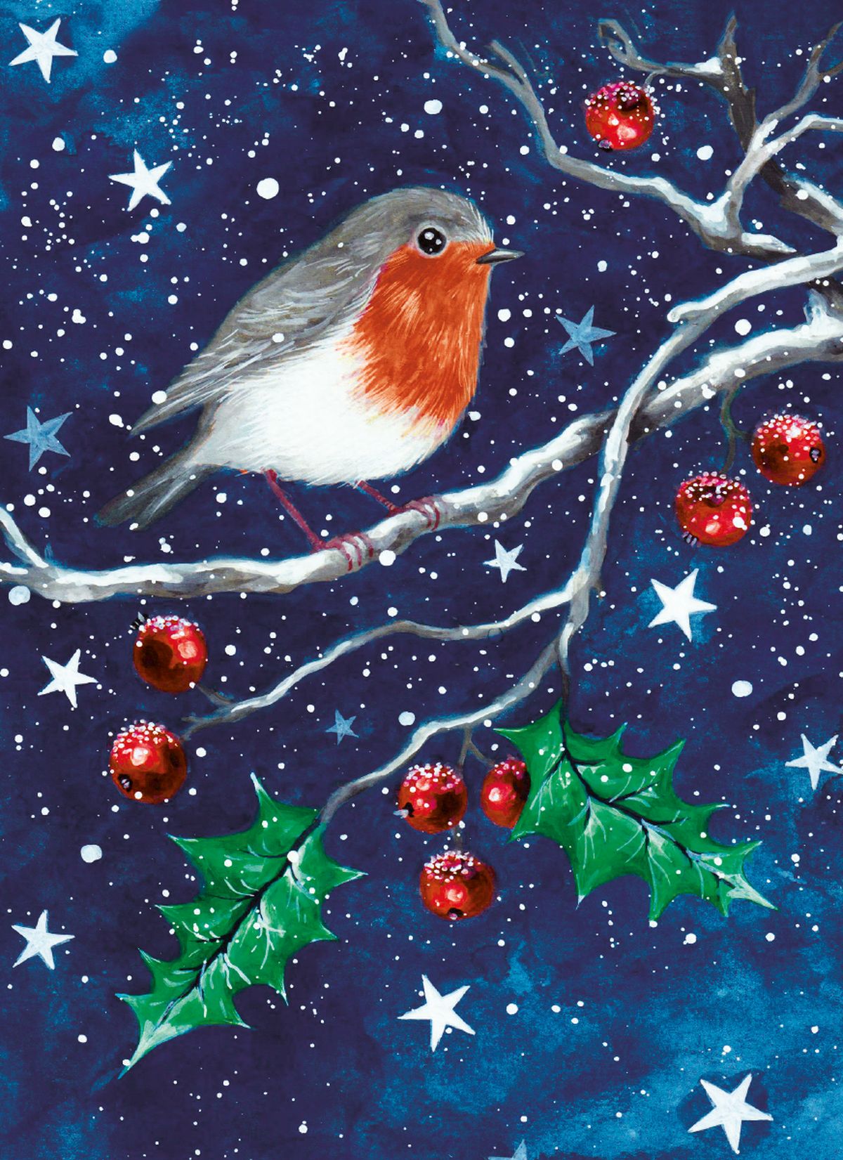Robin & Owl Box of 16 Charity Christmas Cards