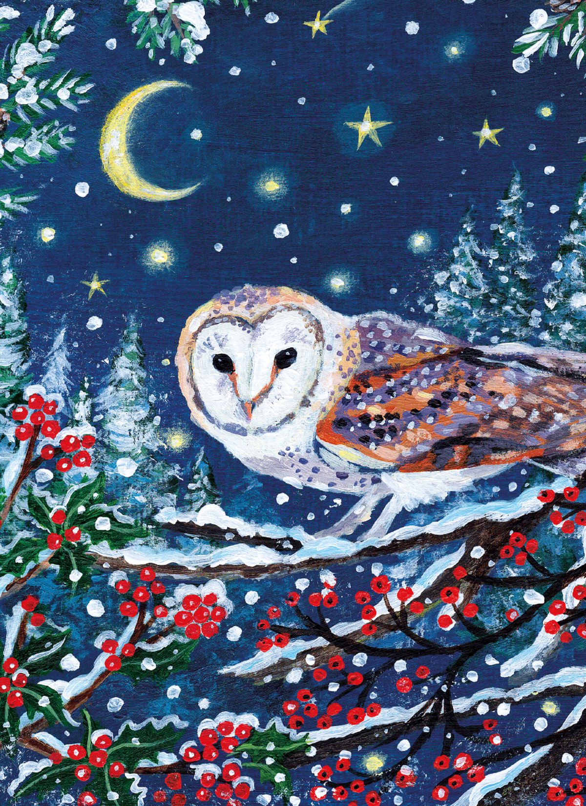 Robin & Owl Box of 16 Charity Christmas Cards