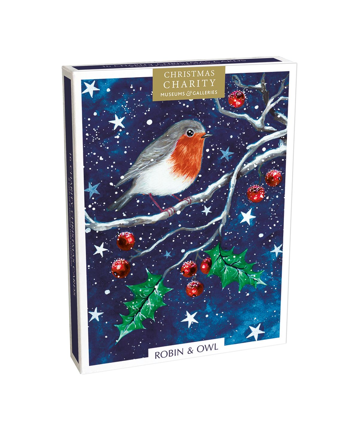 Robin & Owl Box of 16 Charity Christmas Cards