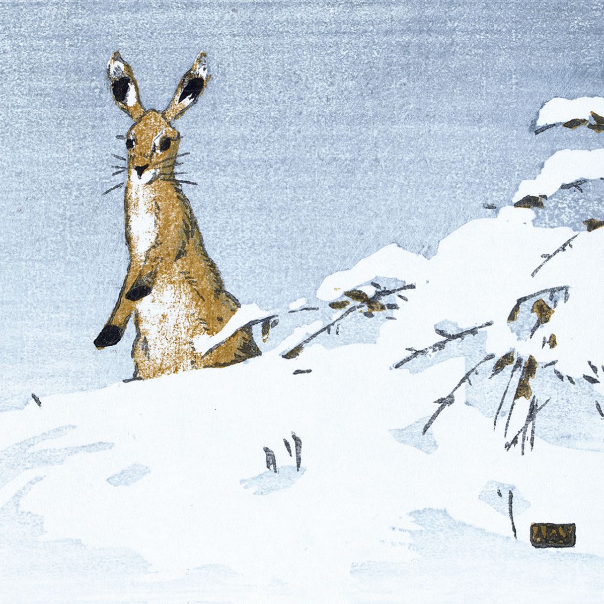 V&A Winter Woodcut Box of 20 Christmas Cards